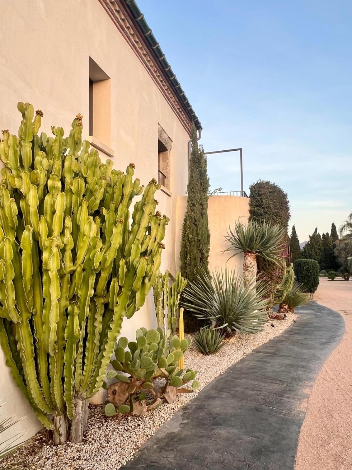 Hotel Mas Lazuli By Fimedhotels Pau Exteriör bild